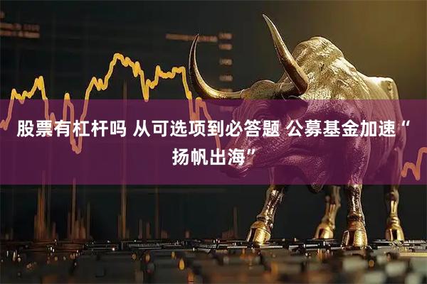 股票有杠杆吗 从可选项到必答题 公募基金加速“扬帆出海”