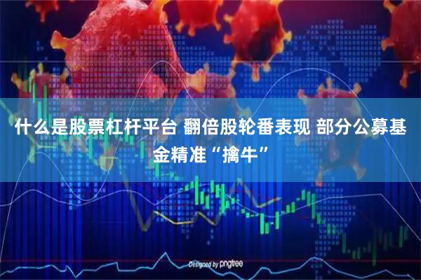什么是股票杠杆平台 翻倍股轮番表现 部分公募基金精准“擒牛”