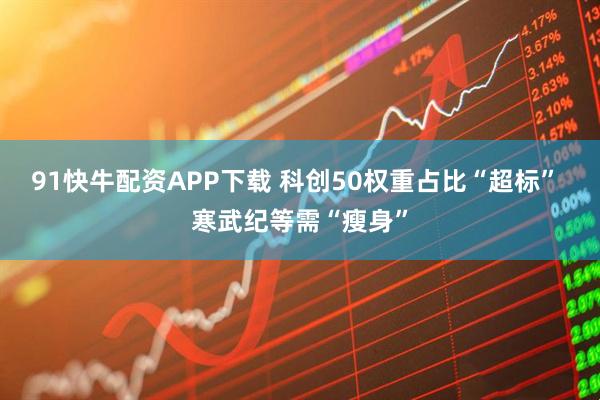 91快牛配资APP下载 科创50权重占比“超标” 寒武纪等需“瘦身”