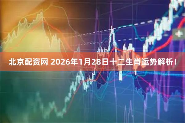 北京配资网 2026年1月28日十二生肖运势解析！